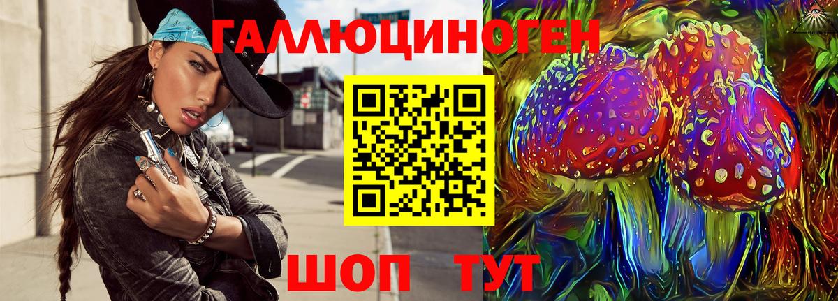 Камышлов  Псилоцибиновые грибы GOLDEN TEACHER  Вход с VPN 